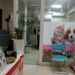 洪星1998寵物店詳細(xì)信息 電話、地址、價(jià)格、營(yíng)業(yè)時(shí)間及圖片