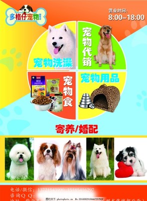寵物服務(wù)傳單與海報設(shè)計模板推薦