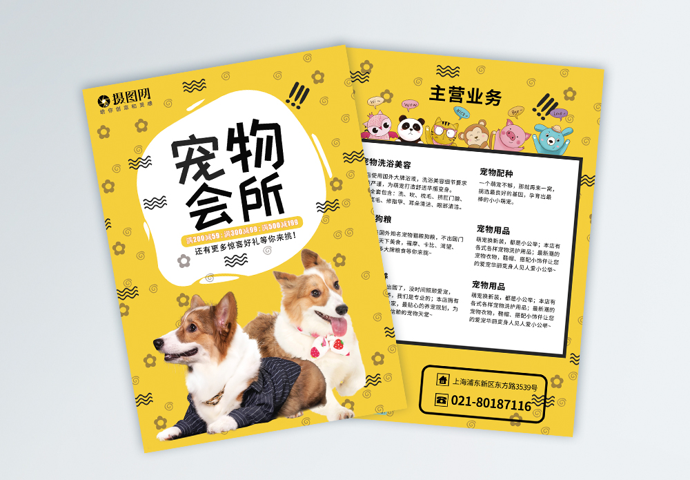 寵物箱海報設(shè)計 連接溫暖與專業(yè)的寵物服務(wù)窗口