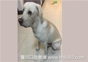 嚴(yán)格執(zhí)行來(lái)料檢驗(yàn)標(biāo)準(zhǔn)，保障寵物托運(yùn)服務(wù)質(zhì)量與安全