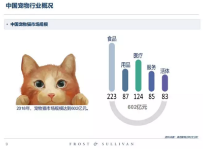 高收入、高學(xué)歷的單身人群，養(yǎng)寵前請(qǐng)先算清這筆賬