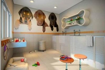 開一家寵物店需要多少錢？——寵老板為您詳細(xì)解析