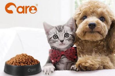 好主人寵物糧 科學配方，為愛寵提供全面營養與專業寵物服務